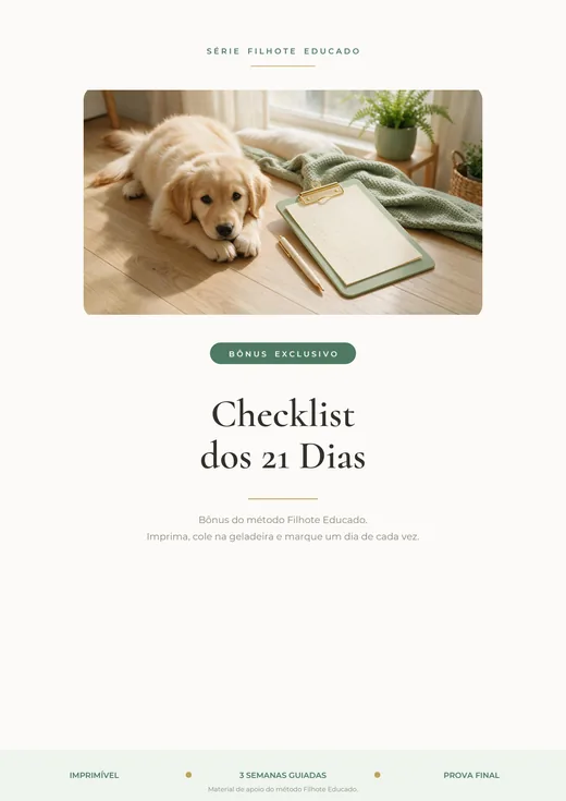 Checklist Imprimível dos 21 Dias